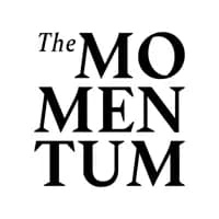 Logo The Momentum